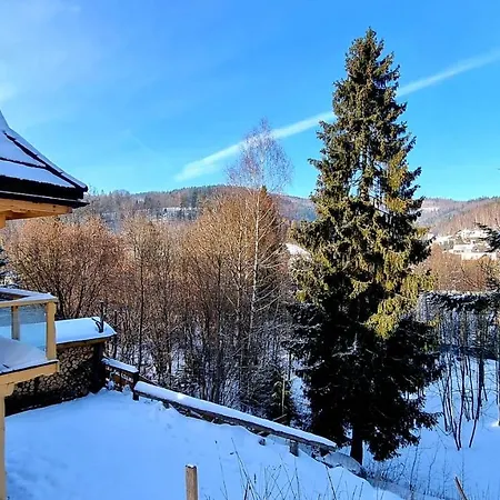 Domek alpejski Barrettski *