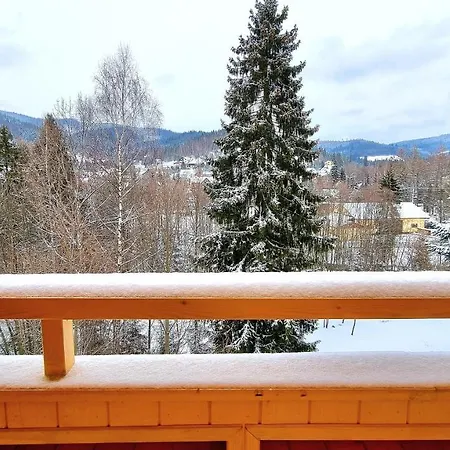 Domek alpejski Barrettski *