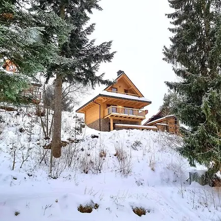 シャレー Barrettski *