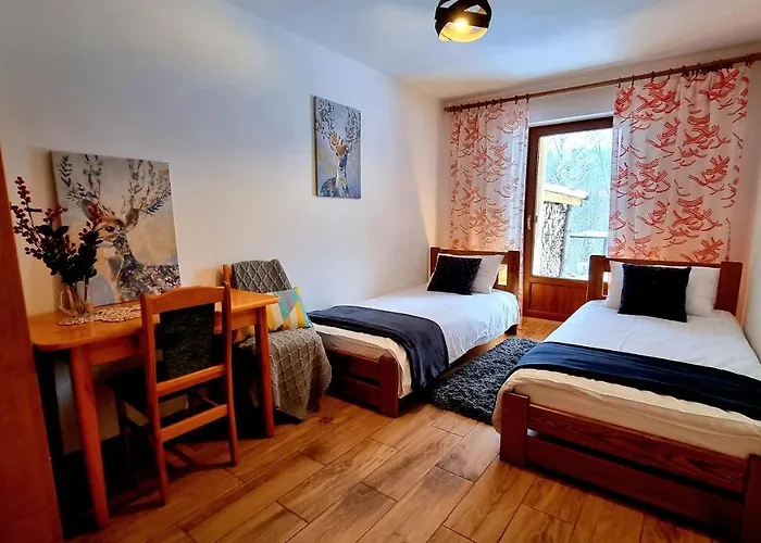 Barrettski 维斯拉