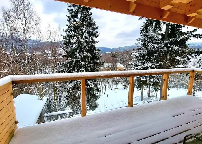 Barrettski 维斯拉