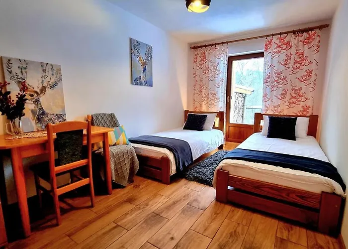 Barrettski ויסלאו