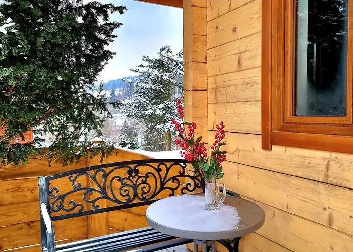 Barrettski 维斯拉