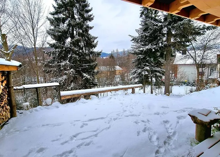 Barrettski 维斯拉