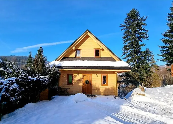 Barrettski ויסלאו