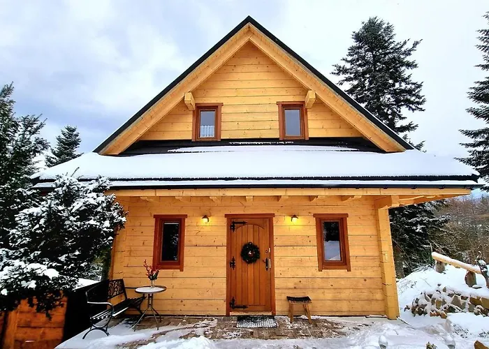 Barrettski * 维斯拉