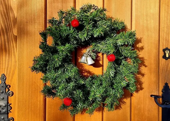 Barrettski 维斯拉