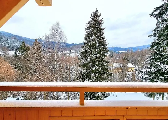 木屋 Barrettski 维斯拉