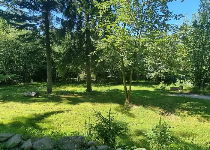 Barrettski בקתה *